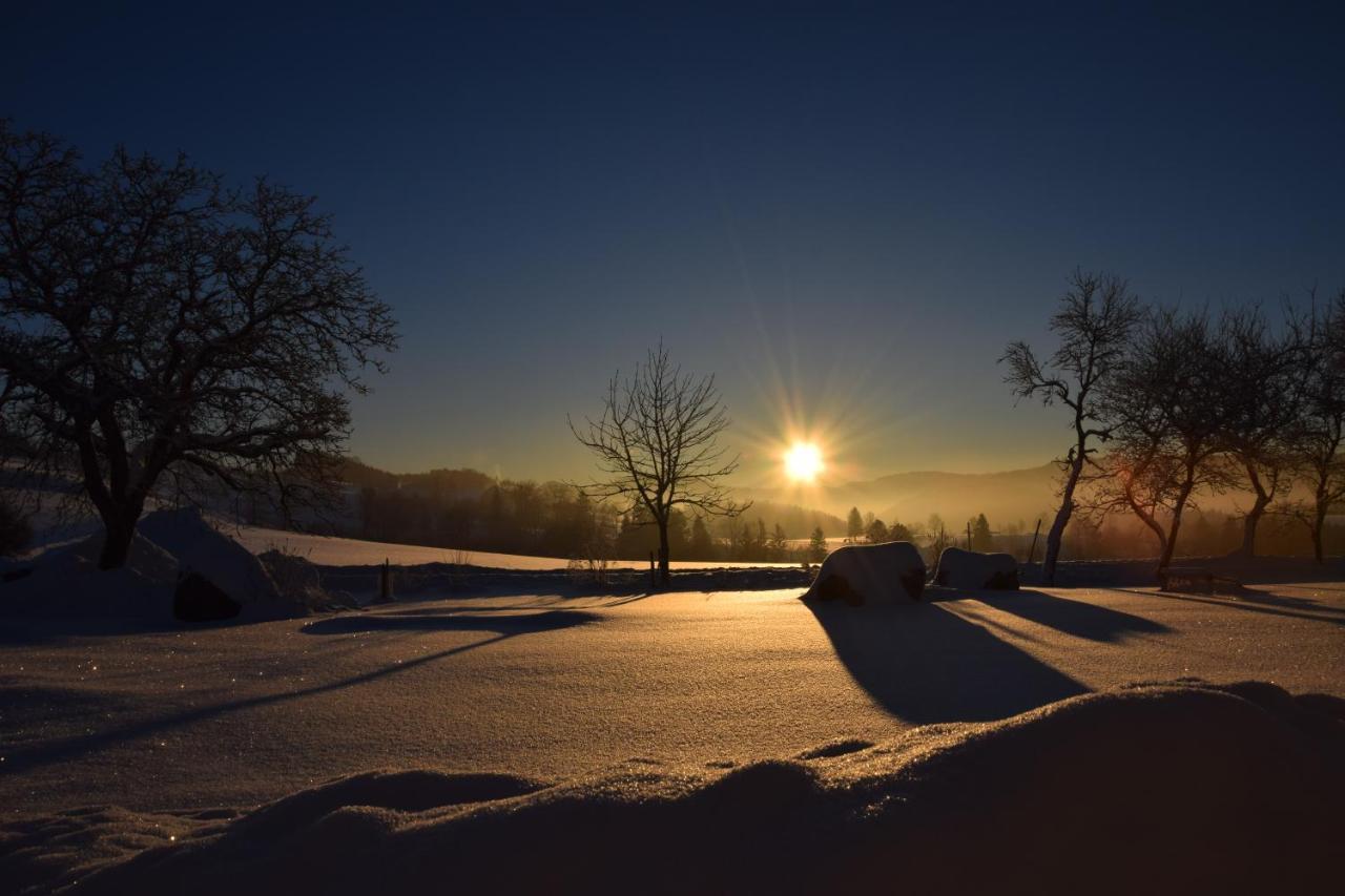 Urlaub Am Bauernhof Hoebarten Sankt Anton an der Jessnitz Extérieur photo